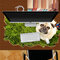 Dog Pet Lawn PAG ADESIVO 3D Adesivos de mesa Decalques de parede Home Wall Desk Decoração de mesa presente - Castanho