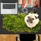 كلب الحيوانات العشب باغ ملصقا 3d مكتب ملصق جدار الشارات جدار ديكور المنزل الجدول ديكور المنزل هدية - خوخ