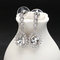 JASSY® Zircon Crystal Dangle Earrings 12 Months Birthstone Birthday Stone Earrings for Women - April