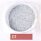 Metallic Mirror Powder Nail Glitters Dust Chrome Pigment 6 Colors  - Silver