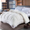 4Kg Thicken Shearling Blanket Winter Soft Warm Bed Quilt for Bedding Full Queen King Size - White
