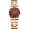 Fashion Casual Women Wristwatch Alloy Wrist Watch Bracelet Waterproof Quartz Watches - Light Brown