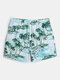 Men Hawaii Coconut Tree Print Wide Legged Quick Dry Beachwear - Green