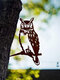 23-Types Metal Garden Tree Insert Decor Hummingbird Owl Simulation Animal Art Ornament - #04
