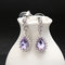 JASSY® Zircon Crystal Dangle Earrings 12 Months Birthstone Birthday Stone Earrings for Women - Feburary