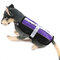 Reflective Safety Mesh Vest Pet Dog Control Harness With Removable Magic Patches - Purple