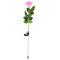Lâmpada solar de energia solar para jardim de rosas, controle de luz de jardim externo - Rosa