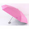 UV Protection Vinyl Folding Umbrella Sunscreen Pocket Umbrella - Rose