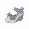 Women Fish Mouth Wedge Sandals - Blue