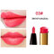 2 in 1 Double Head Lipstick Moisturizing Smooth Lip Stick Pen Long Lasting Lip Liner Lip Makeup - 03