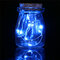 Romantic Xmas 10 LED Colours Seed Vase Lights Wedding Centrepiece Fairy Lights Home Decor - Blue