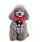 Formal Dog Bow Ties Tuxedo Bandana Collar with Bowtie Adjustable Neckerchief for Party - M