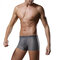 Ice Silk Mesh Breathable U Convex Boxers for Men - Gray