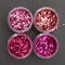 Rose Red Shining Mixed Glitter Powder Sequins Nail Decoration Dust Mermaid Effect - 01