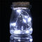 Romantic Xmas 10 LED Colours Seed Vase Lights Wedding Centrepiece Fairy Lights Home Decor - White