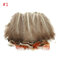 20 шт. Ассорти красивые натуральные перья фазана ткань поделки отделка декор - #1
