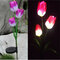 Solar Power Tulip Flower Garden Stake Landscape Lamp Outdoor Yard LED Light - Purple White