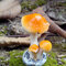 Mini Mushroom Toadstool Garden Ornaments Ideal For Plant Pots Fairy Garden Decoration - #1