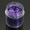 Dark Purple Nail Art Glitter Powder 1mm Sequins Sparkly Colorful Iridescent Acrylic Tips - 03