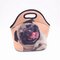 Lunch Bags Insulated for Women Men Adult Neoprene Cute Tote Waterproof Thermal Reusable Durable Box - #5