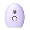 Mini USB Nano Facial Spray Water Replenishing Instrument Portable - Light Purple