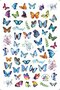 3D Colorful Waterproof Butterfly Nail Art Stickers Watermark DIY Colorful Tips Nail Decals Manicure - 3