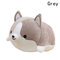 35/50/60cm Kawaii Short Plush Cartoon Shiba Inu Corgi Dog Hug Pillow Soft Cushion Christmas Gift - Gray