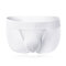 Solid Color Mesh Wide Waitband Breathable Briefs for Men - White