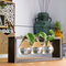 Creative Simple Style Glass Wood Plant Vase Home Decorative Planter  - Large