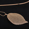 Natural Real Leaf Pendant Necklaces Bohemian Hollow Big Leaf Delicate Womens Long Necklaces - Gold