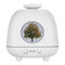 Ultrasonic Air Humidifier Essential Oil Diffuser Led Lights Electric Aromatherapy USB Humid - White