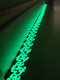 1 PC 3*200 CM Luminous Tape Self Adhesive Stickers Glow In The Dark Home Decor Stair Safety Warning Fluorescent Flower Wall Stickers - #01