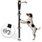 8 Color Choice Pet Cachorro Training Adjustable Corda Campainha Training Bell Corda Pet Supplies - Preto