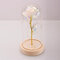 Valentine's Day Gift Decorations Enchanted Preserved Red Fresh Rose Glass Cover + LED Light - #2