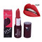 HABIBI BEAUTY Matte Lipstick Long Lasting Waterproof Brown Sexy Dark Red Lipsticks  - 09
