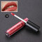 LIYADA Waterproof Matte Metallic Lip Gloss Cosmetics Liquid Lipstick Long-lasting Lips - C28