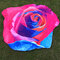 Honana WX-89 147cm 3D Simulation Rose Strandtuch Romantisch Damen Badetuch Schal Bettlaken Wandteppich - #7