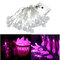 Decorazione del partito del giardino di cerimonia nuziale di natale di natale di 30 LED a forma di farfalla - Rosa