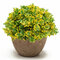 Colorful Artificial Topiary Tree Ball Plants Pot Garden Office Home Indoor Decor Flower - #2