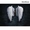 <US Instock>Unframed Angel Wings Fashion Abstract Wall Art Painting Living Room Bedroom Artwork Decor - #1