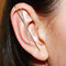 Boucles d'oreilles perforantes plaquées or incrusté de cuivre Zircon entourent le clip d'oreille des femmes de l'auricule - 04