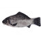 Astuccio per matite creative Fish Shaper Borsa - 02
