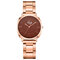 Simple Casual Women Wristwatch Rose Gold Band Large Three-Hand Dial Quartz Watches - Dark Brown