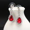 JASSY® Zircon Crystal Dangle Earrings 12 Months Birthstone Birthday Stone Earrings for Women - January