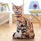 19.7インチソフトアニマルクッション面白い猫枕猫のおもちゃクリエイティブシミュレーション猫枕 - ＃1