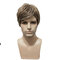 Synthetic Wigs European American New Fashion Men's Wigs Short Straight Heat Resistant Hair Wigs - 01