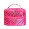 Large Capacity Double Layers Cosmetic Bag Cute Portable Travel Bag - #2