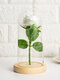 Creative Glass Cover Lighting Forever-lasting Enchanted Love Rose Eternal Flower Mother's Day Christmas Valentine's Day Gift - White