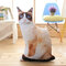 19.7インチソフトアニマルクッション面白い猫枕猫のおもちゃクリエイティブシミュレーション猫枕 - ＃4