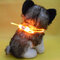 Dog LED  Adjustable Personalised Collar Polyester Pet Light-up Flashing Glow Safety  - Orange